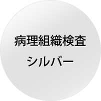 病理組織検査 シルバー