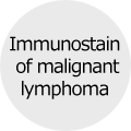 Immunostain of malignant lymphoma