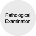 Pathological examination